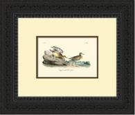 Custom Redbacked Sandpiper Series 21W x 18H