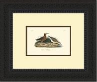 Custom Redbacked Sandpiper Series 21W x 18H