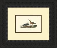 Custom Redbacked Sandpiper Series 21W x 18H