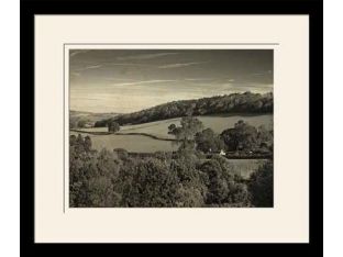 Country Field II 26W x 22H