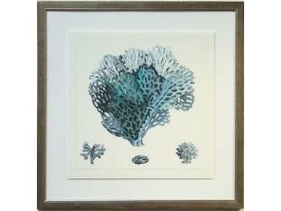 Blue Coral IV with Dark Frame 30W x 30H