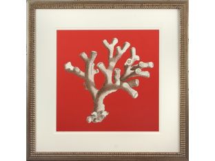 Coral on Red II 22W x 22H