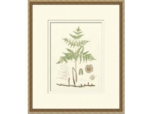 Custom Crackled Eaton Ferns Series (Set of 4) 23W x 27H
