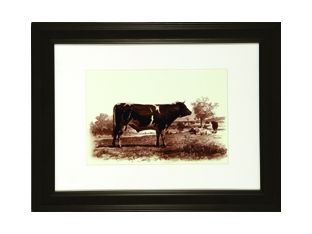 Bovine IV 24W x 19H