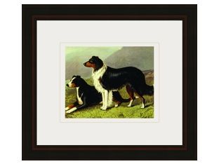 Sheep Dogs 19W x 17H
