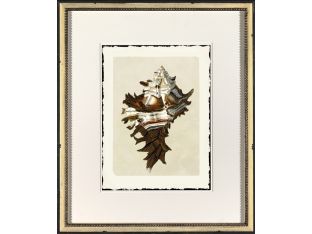 Shell IX 22W x 26H