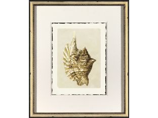 Shell III 22W x 26H