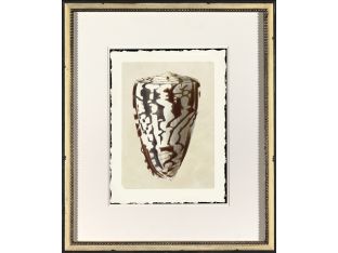 Shell VIII 22W x 26H