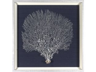 Coral Shadow Box I 25W x 25H