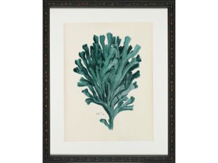 Aqua Coral on Khaki III 18W x 22H