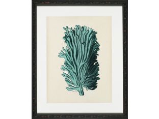 Aqua Coral on Khaki I 18W x 22H