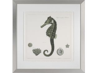 Celadon Seahorse 30W x 30H
