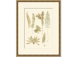 Fern Impressions I 22W x 28H