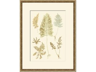 Fern Impressions II 22W x 28H