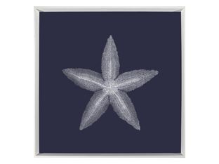 White on Navy Sea Elements VI 25W x 25H