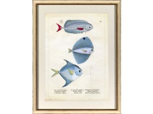 Blue Fish I 22.5W x 28.75H