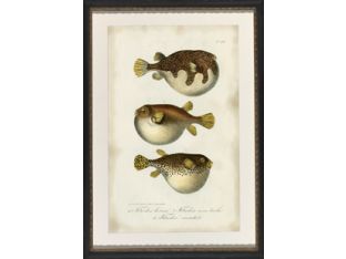 Puffer Fish 23W x 32H