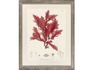 Large Bradbury Seaweed II 32W x 40H