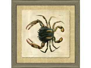 Antique Crackled Crab I 28.5W x 28.5H