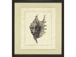 Vintage Shell II 22W x 24H