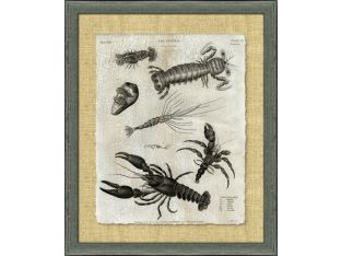 Crackled Crustacean II 34.5W x 40.5H