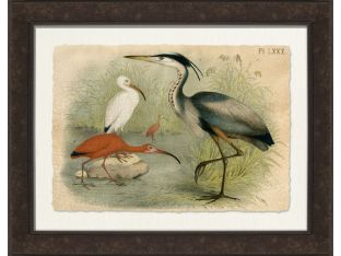 Crackled Great Blue Heron 42W x 33H
