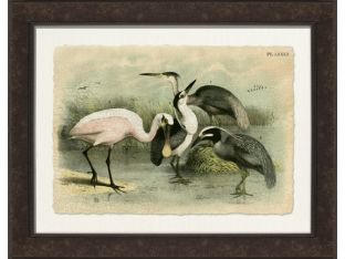 Crackled Spoonbill 42W x 33H