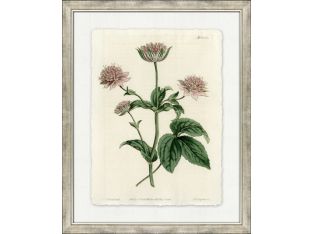 Large Antique Blush Floral III 34W x 42H