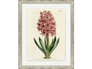 Large Antique Blush Floral V 34W x 42H