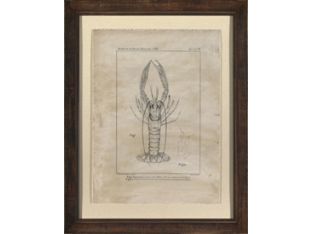 Grand Crustacean I 26W x 33H