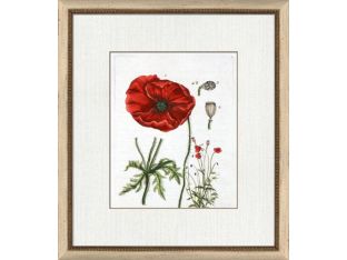 Botanical La Flore VI 16W x 20H