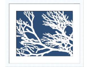 Coral Silhouette III 27W x 23H