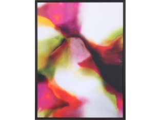 Vivid Moment II 31W x 41H