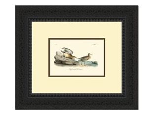Custom Redbacked Sandpiper Series 21W x 18H
