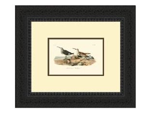 Custom Redbacked Sandpiper Series 21W x 18H