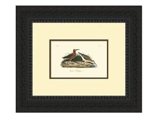 Custom Redbacked Sandpiper Series 21W x 18H