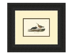 Custom Redbacked Sandpiper Series 21W x 18H