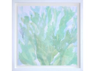 Translucent Ocean Life 4 43W x 43H